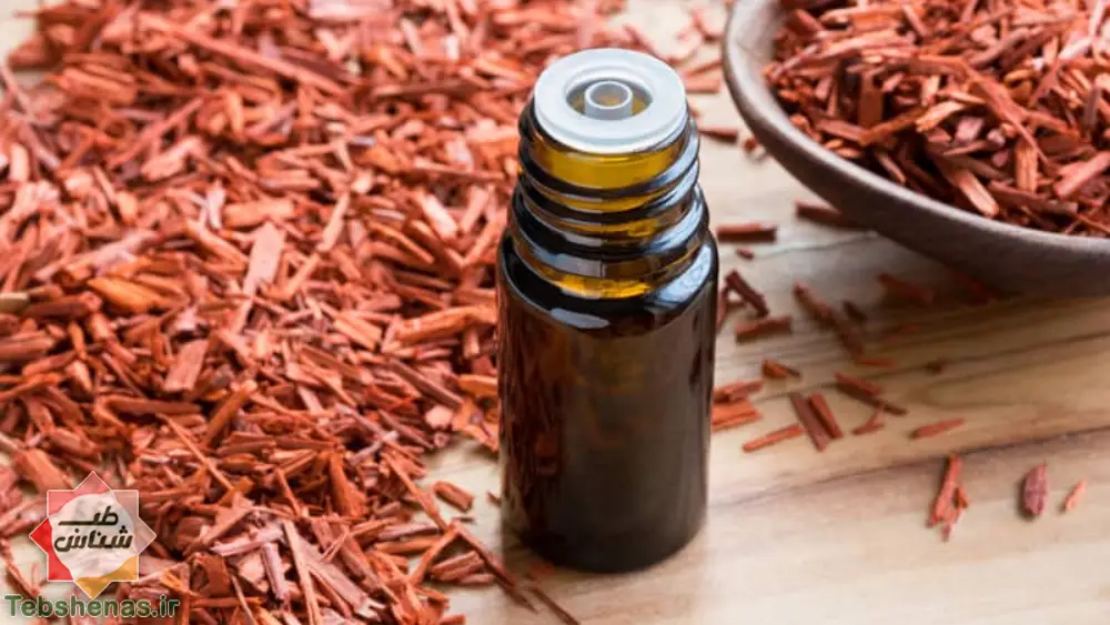 همه چیز درباره طبع و خواص صندل + 16 خاصیت بینظیر صندل در طب سنتی|همه چیز درباره طبع و خواص صندل + 16 خاصیت بینظیر صندل در طب سنتی|خواص صندل