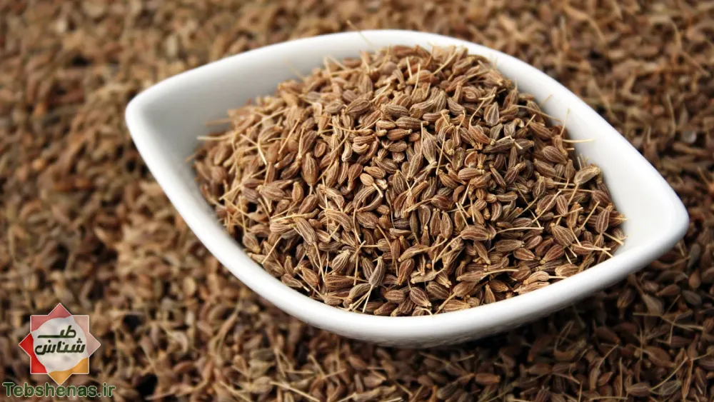 طبع و خواص بادیان رومی در طب سنتی|طبع بادیان رومی- خواص بادیان رومی|