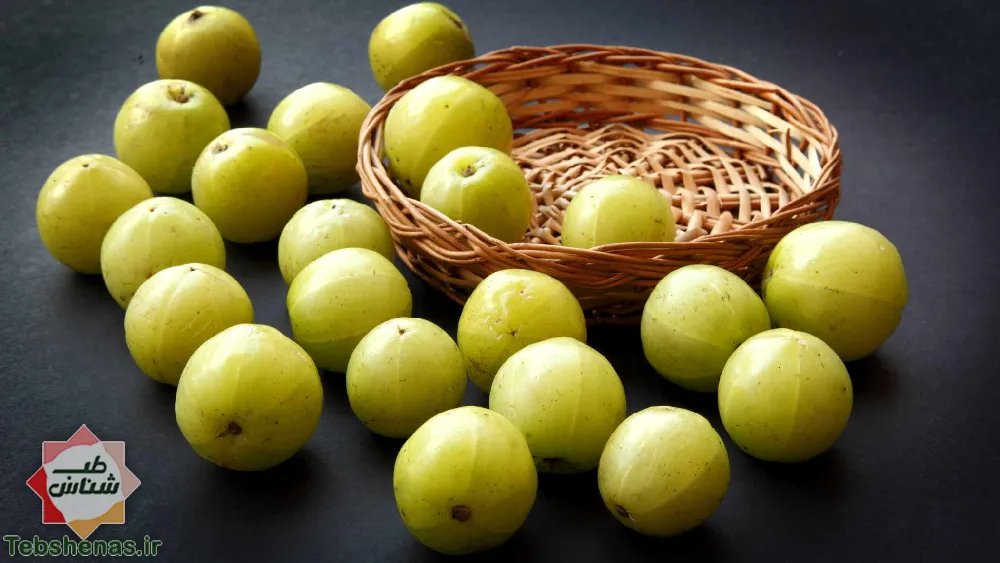 خواص آملا و بررسی همه ویژگی های آملا در طب سنتی|خواص روغن آملا|طبع و خواص آملا