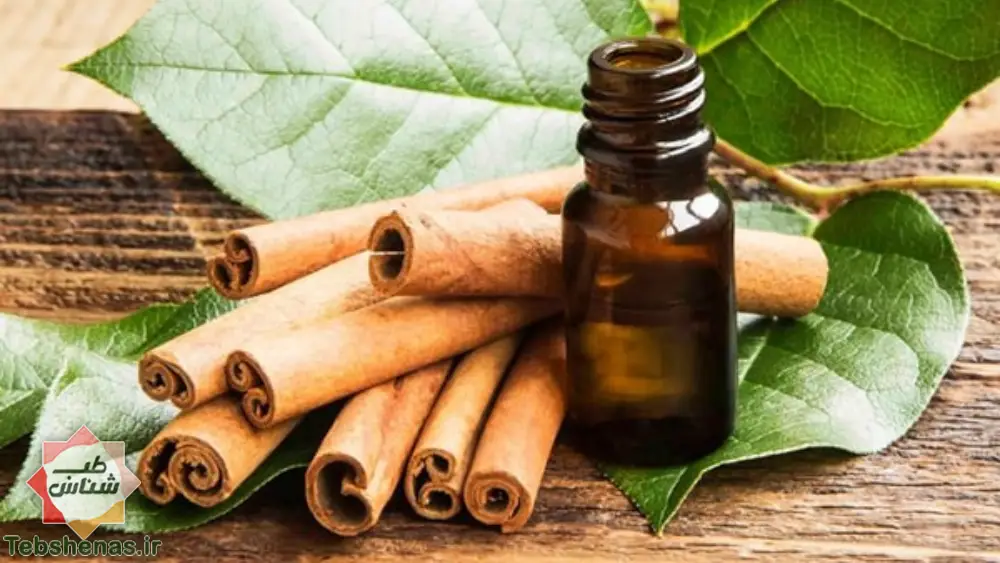 طبع و خواص روغن دارچین در طب سنتی+ 6 راه برای استفاده از روغن دارچین|خواص روغن دارچین