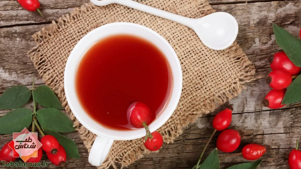 طبع و خواص دمنوش میوه گل نستترن در طب سنتی|خواص دمنوش نسترن|میوه گل نسترن