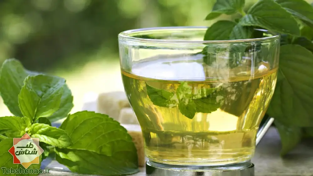 طبع و خواص عرق نعناع در طب سنتی ایرانی و اسلامی|خواص عرق نعناع