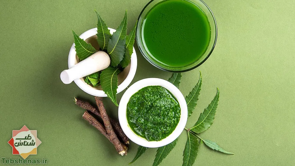 طبع و خواص چریش در طب سنتی|خواص چریش
