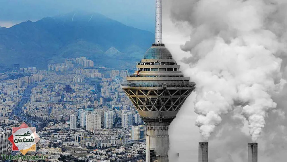خوردنی ها و نوشیدنی های کمک کننده در زمان آلودگی هوا