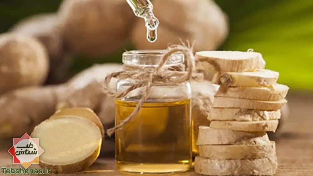 طبع و خواص روغن زنجبیل در طب سنتی|خواص روغن زنجبیل