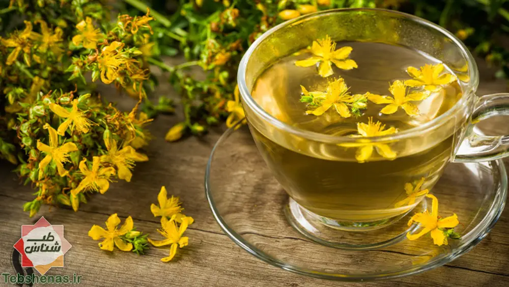 طبع و خواص چای هوفاریقون در طب سنتی+ 10 خاصیت شگفت انگیز چای هوفاریقون|خواص چای هوفاریقون