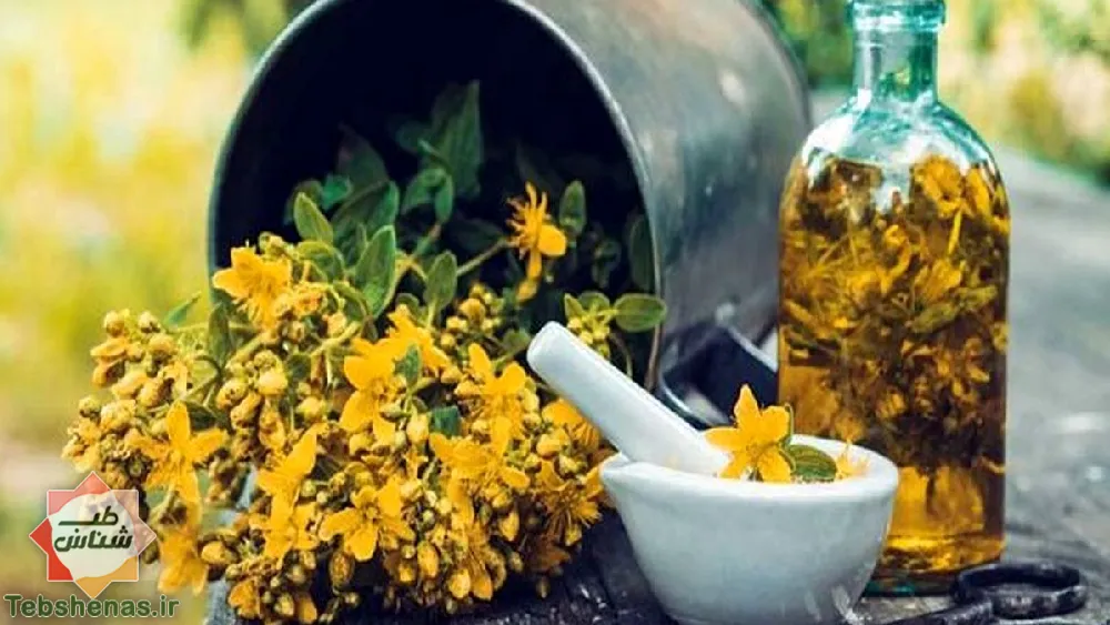 خواص شهناز یا گل راعی در طب سنتی