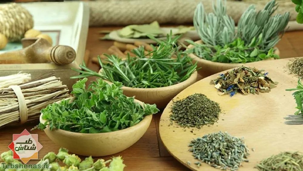 رونمایی از داروهای گیاهی جدید موثر بر کیفیت خواب