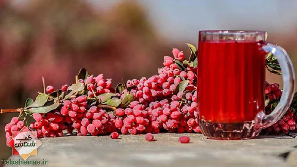 طبع و خواص شربت زرشک در طب سنتی|خواص شربت زرشک