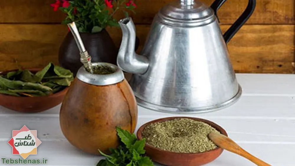 طبع و خواص یربا ماته در طب سنتی|خواص یربا ماته