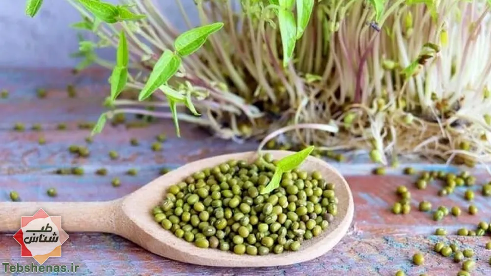 خواص ماش برای بدن انسان