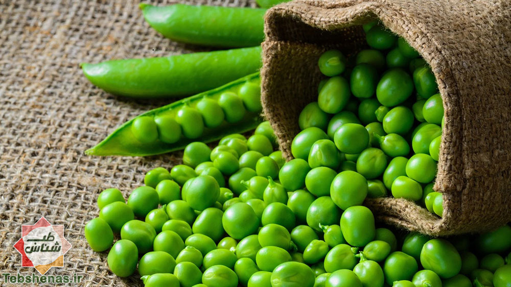 خواص نخود فرنگی در طب سنتی|طبع نخود فرنگی در طب سنتی