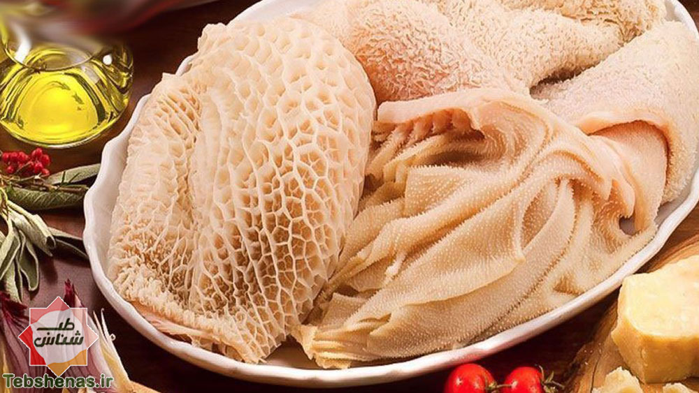طبع سیرابی در طب سنتی ایرانی اسلامی