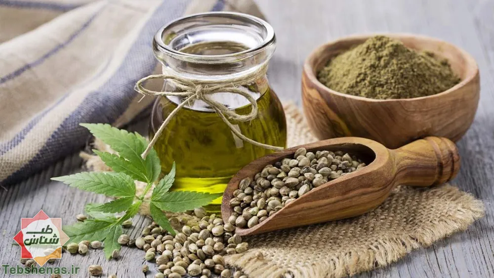طبع و خواص روغن شاهدانه در طب سنتی|خواص روغن شاهدانه
