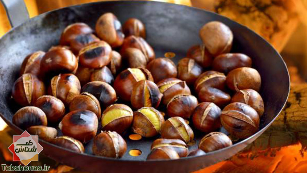 طبع بلوط و شاه بلوط در طب سنتی|خواص و طبع بلوط و شاه بلوط در طب سنتی