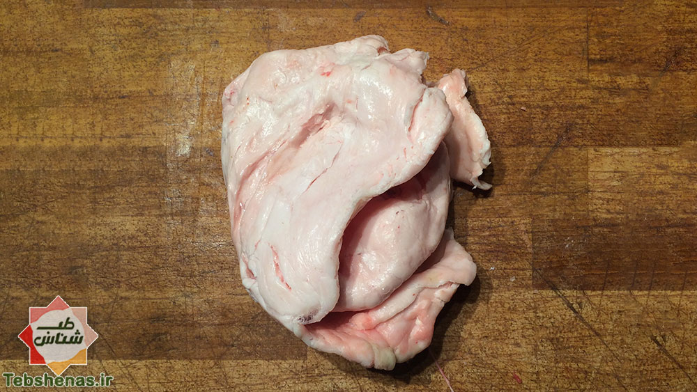 طبع و خواص دنبه گوسفندی در طب سنتی