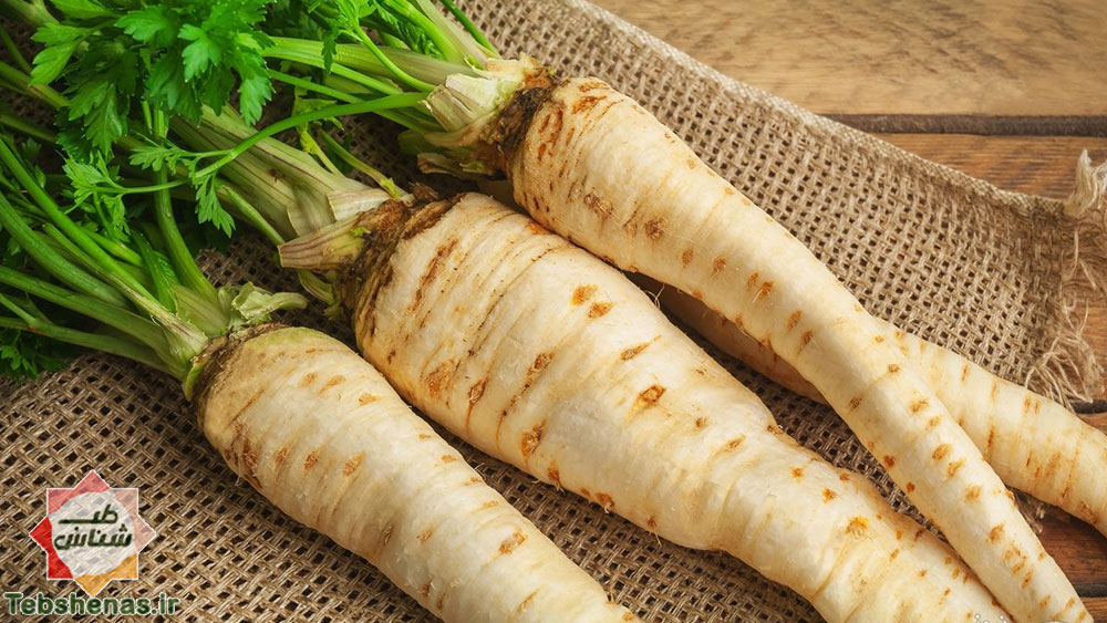 طبع و خواص شقاقل در طب سنتی|طبع و خواص شقاقل در طب سنتی