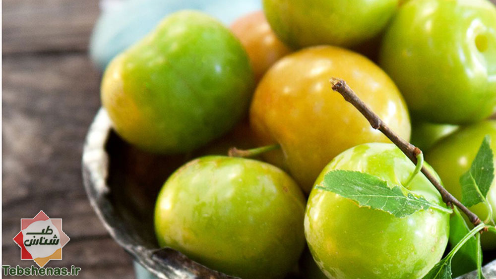 طبع گوجه سبز در طب سنتی Reine Claude Verte|