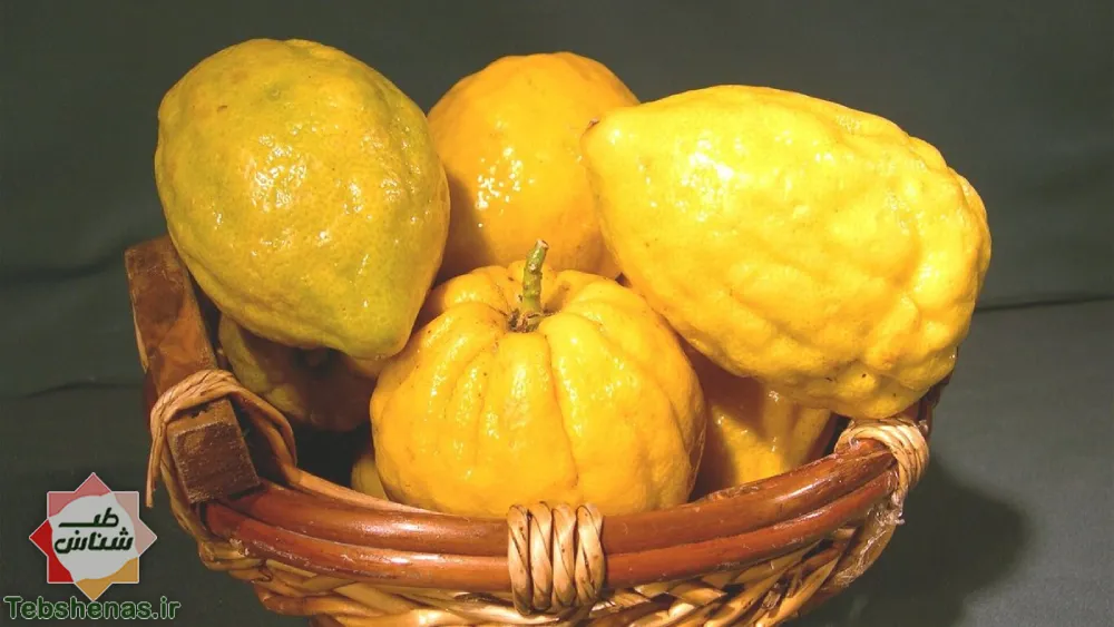 فواید بالنگ برای بدن