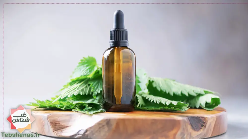 طبع و خواص روغن گزنه در طب سنتی در طب سنتی|خواص روغن گزنه