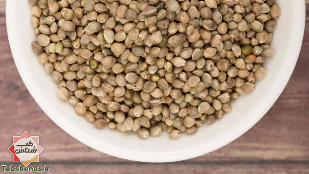 خواص و طبع شاهدانه در طب سنتی