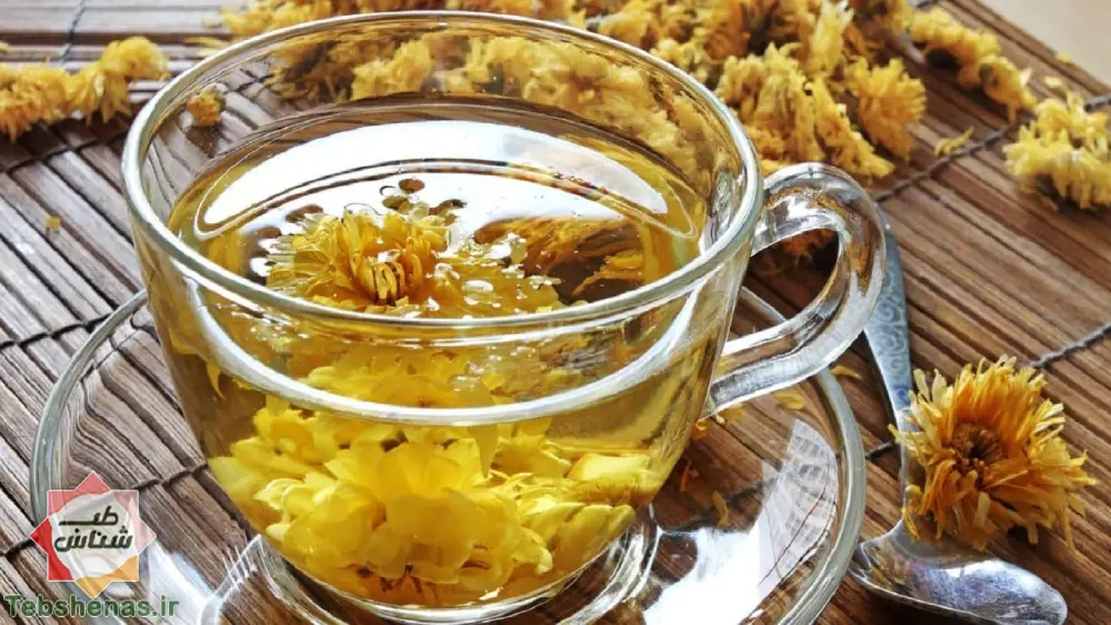 طبع و خواص دمنوش پروبیوتیک گل قاصدک در طب سنتی|خواص دمنوش قاصدک
