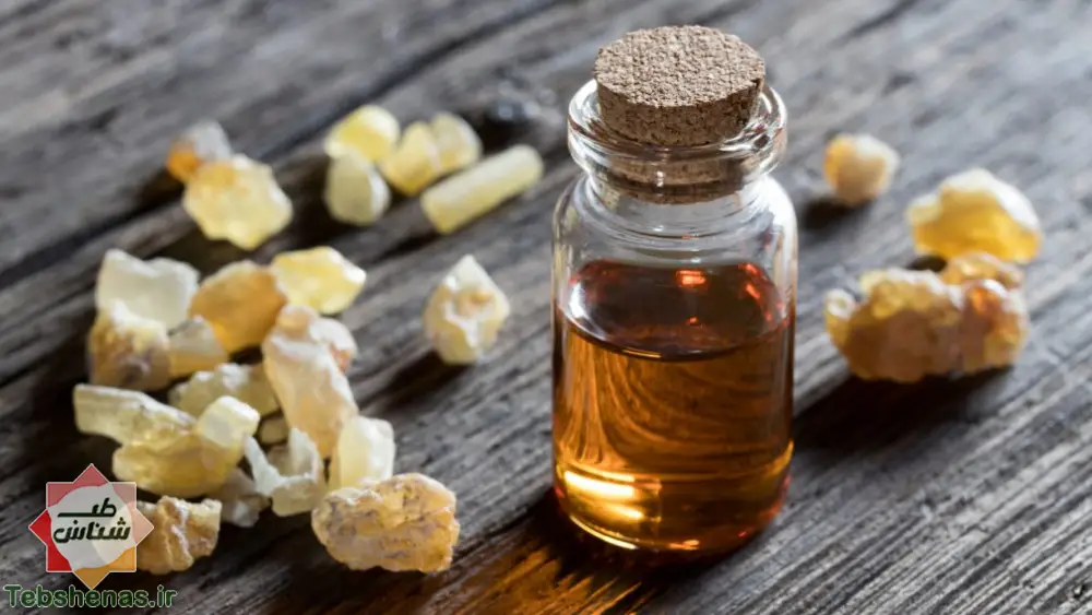 طبع و خواص روغن سقز در طب سنتی ایرانی و اسلامی|خواص روغن سقز