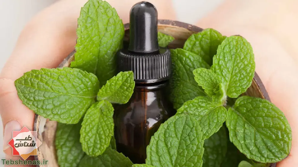 طبع و خواص روغن نعناع در طب سنتی|خواص روغن نعناع