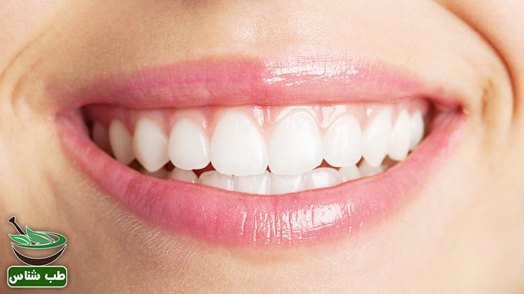 جلوگیری-از-بیماری-های-لثه-و-دهان-و-پوسیدگی-دندان