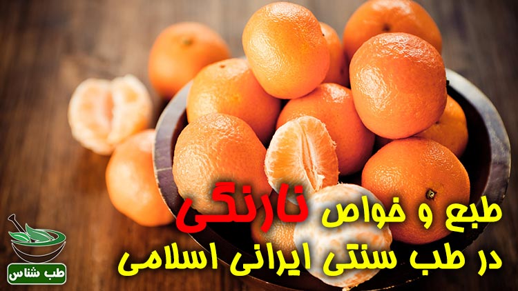 طبع-و-خواص-نارنگی-در-طب-سنتی-ایرانی-اسلامی