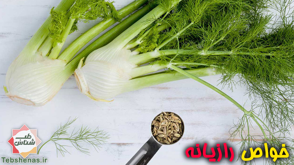 خواص رازیانه در طب سنتی اسلامی ایرانی 
نفخ شکم کاهش وزن