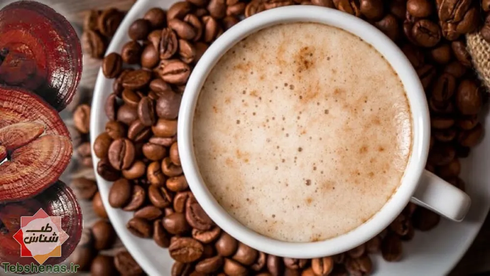 طبع و خواص قهوه گانودرما در طب سنتی