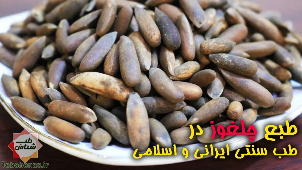 طبع و خواص چلغوز در طب سنتی ایرانی و اسلامی
