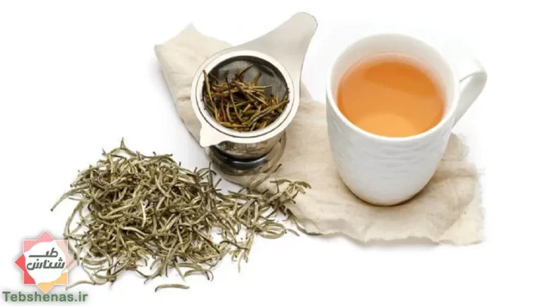 طبع چای سفید در طب سنتی + 12 خاصیت چای سفید