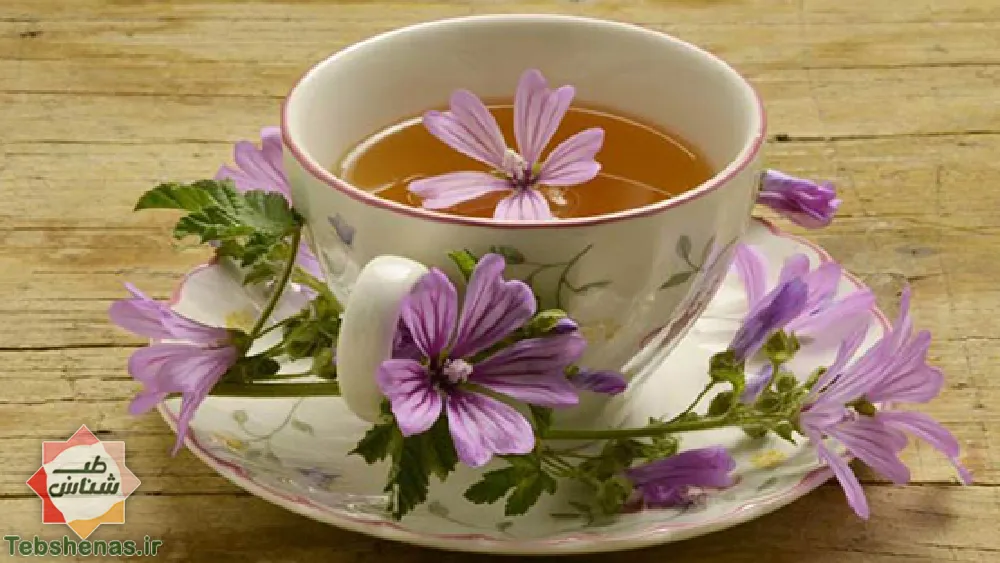 طبع و خواص چای گل پنیرک در طب سنتی
