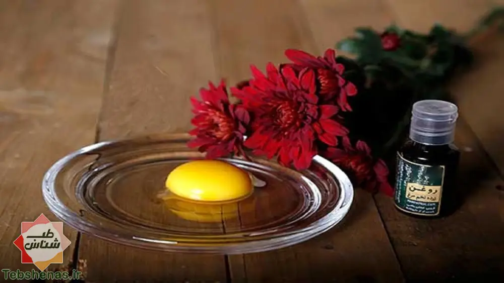 طبع و خواص زوغن زرده تخم مرغ در طب سنتی ایرانی و اسلامی