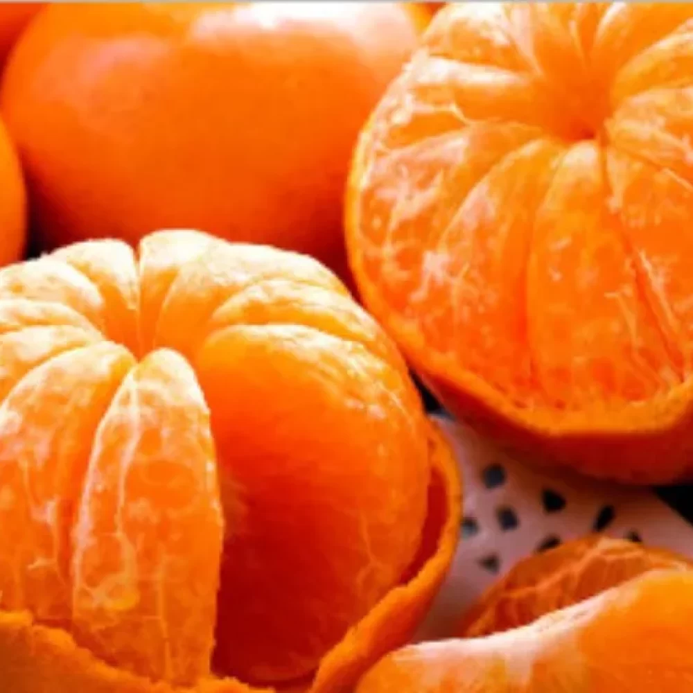 طبع و خواص نارنگی در طب سنتی